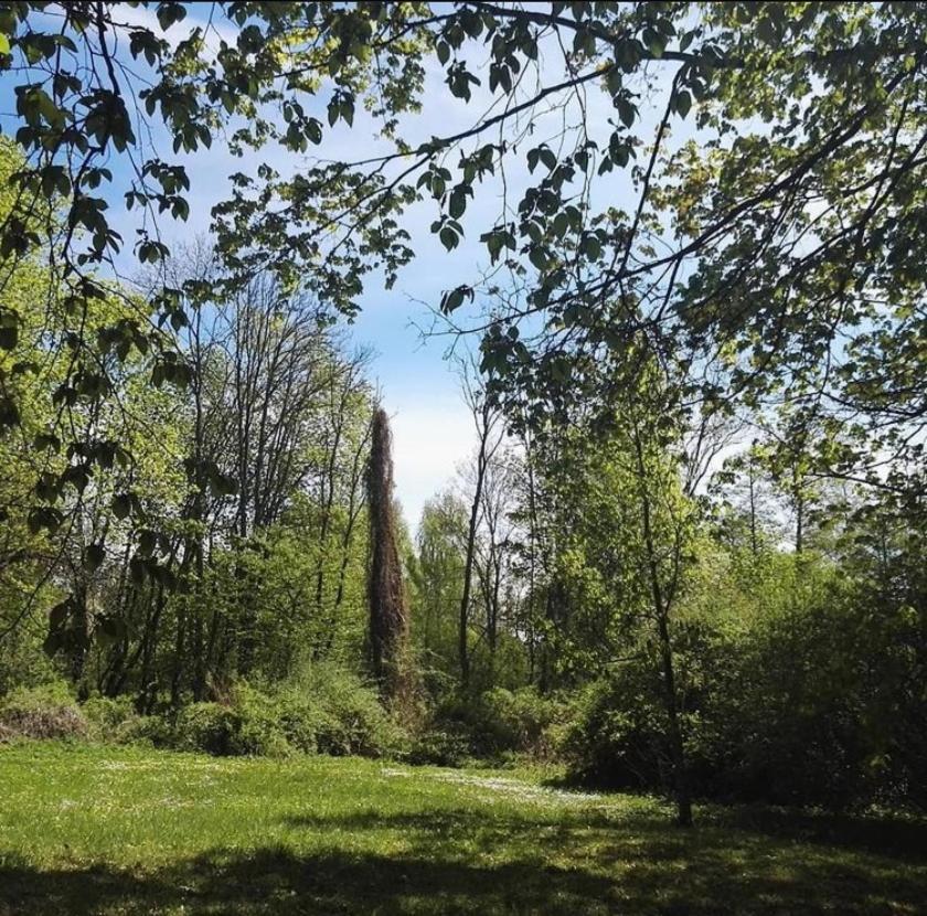 Hotel Im Park Sorkwity Exteriör bild